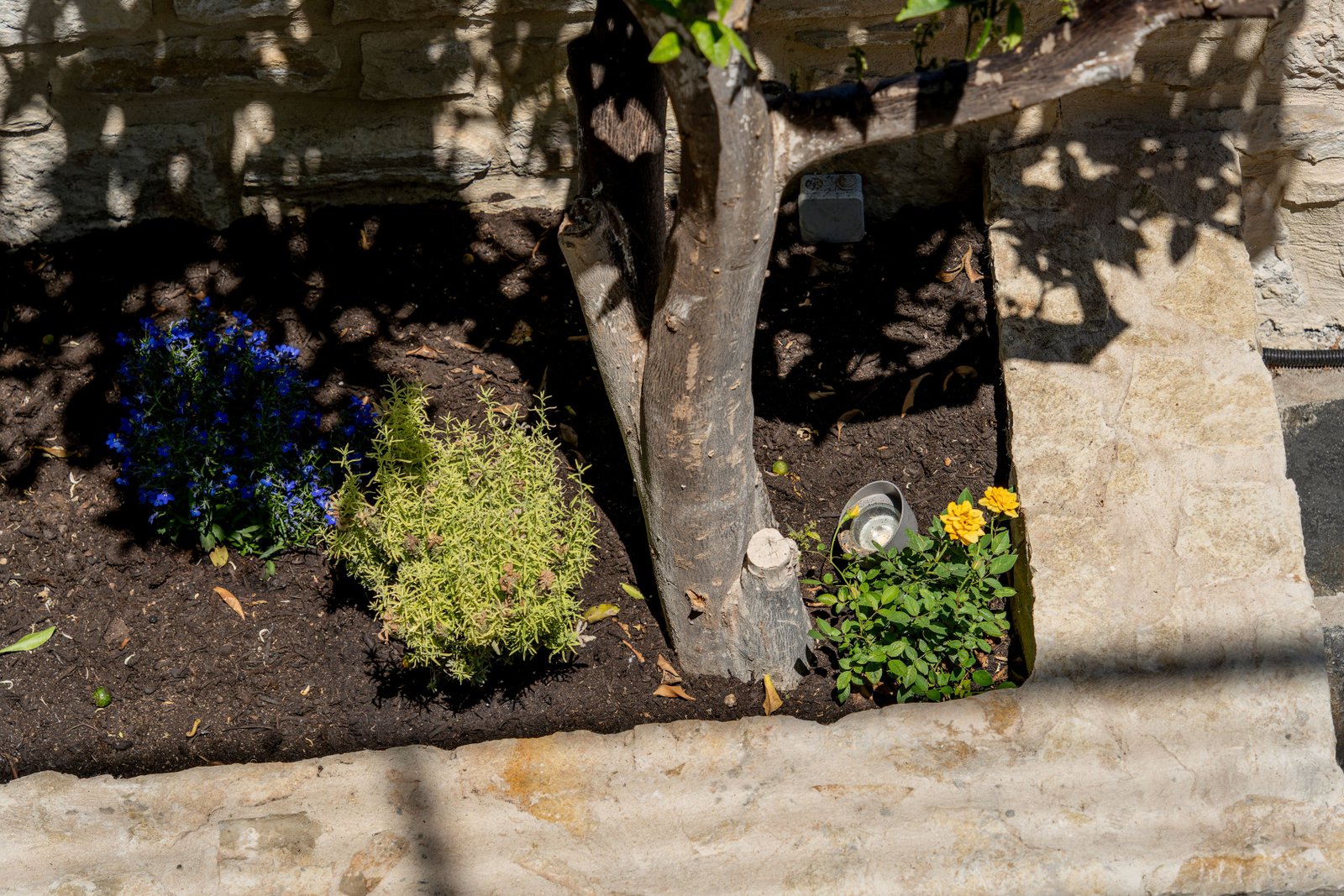 Outdoor space - Photo 19